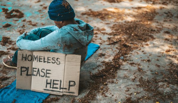need of shelter-22968 need of shelter-22968